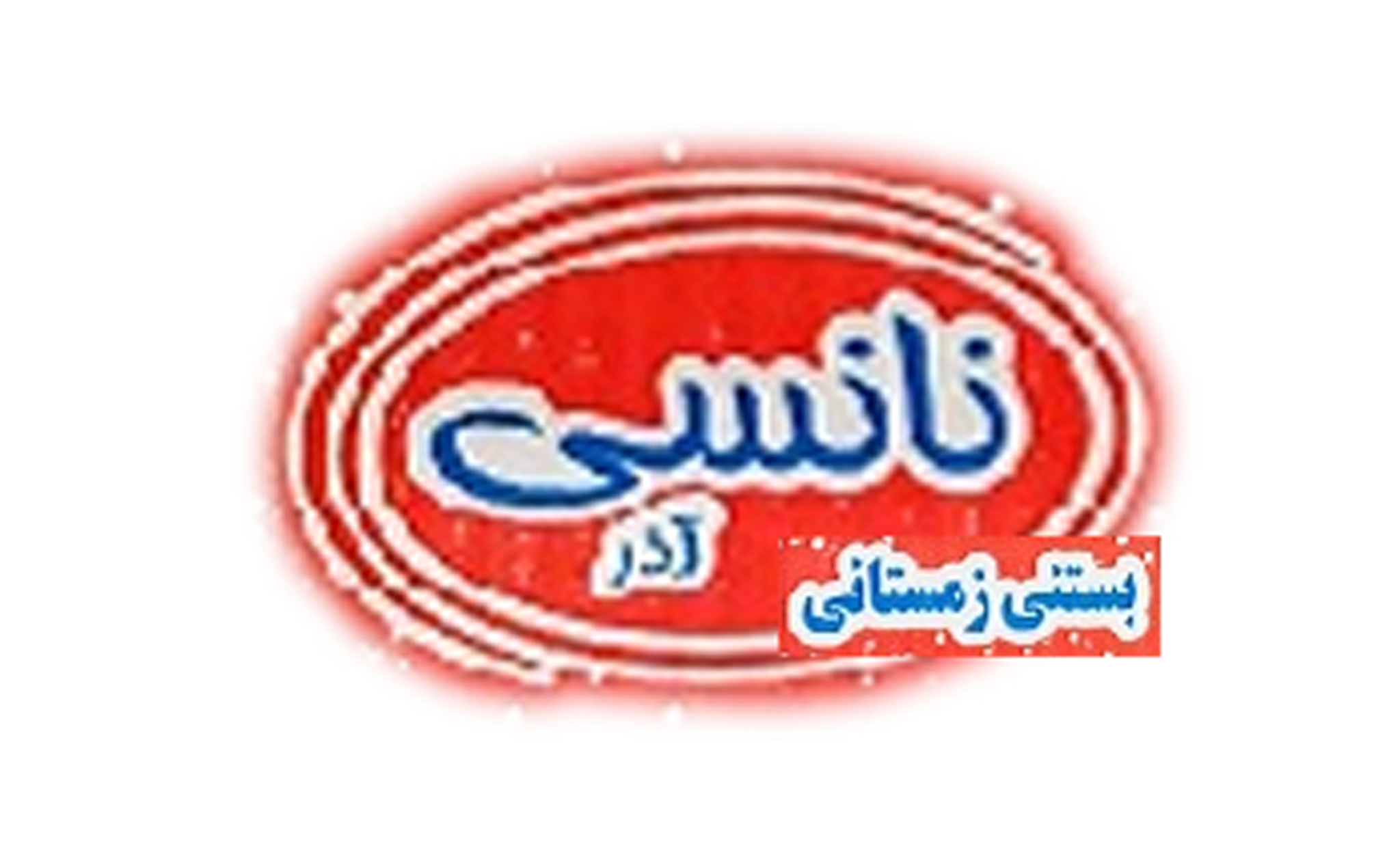 لوگوی شرکت نانسی آذر